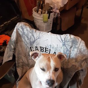 Meet your Posher, Jay